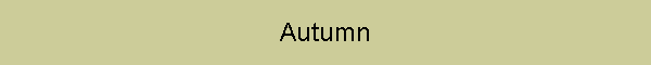 Autumn